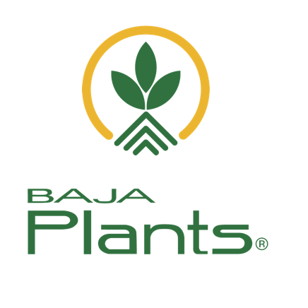 Baja Plants